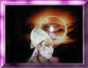 images/eg2002_5.jpg (50096 octets)